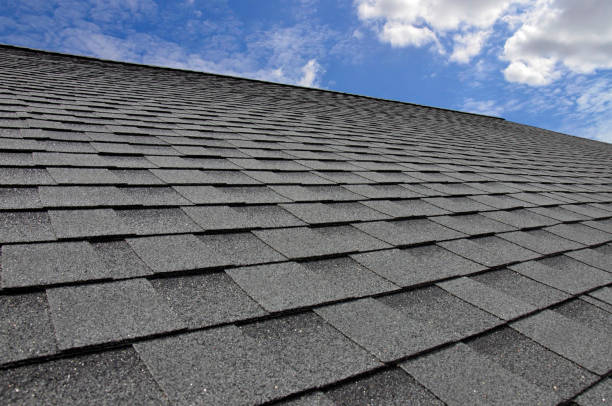 Best Roof Inspection  in Kirbyville, TX